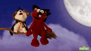 Cat Halloween GIF by Sesame Street