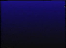 Everything Is Terrible Cant Fool Me GIF