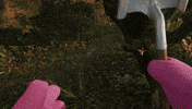 Video Game GIF by Fall Guys