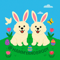Easter Bunny Dog GIF by HammyandBrody