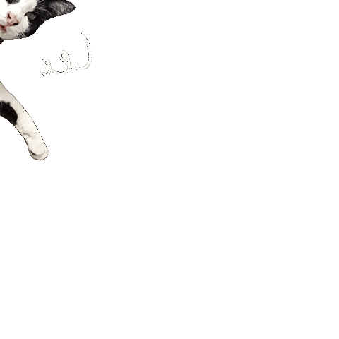 Flying Cats Hero Cat Sticker