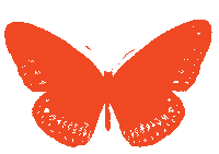 Magic Orange Sticker
