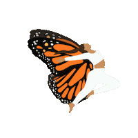 Art Magic Sticker