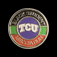 University Texas GIF by Pinned Pins