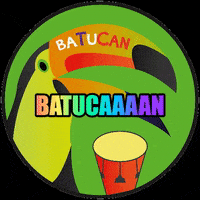 batucan toucan tucan batucada batucan GIF