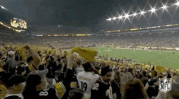 Regular Season Football GIF by NFL