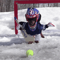 Hockey Goalie GIF by Crusoe