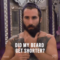 big brother GIF by Big Brother After Dark