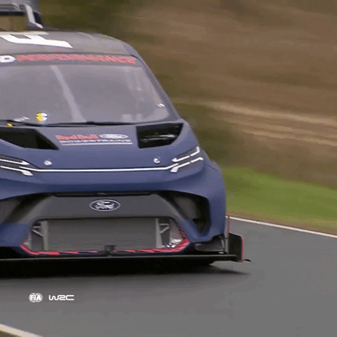 Ford Power GIF by FIA World Rally Championship