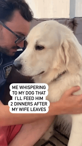 cuteanimalland giphyupload GIF