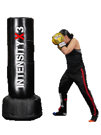 Kick Boxing Sticker by IntensityX3 Kickboxing