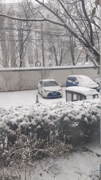 'First Snowfall' of the Winter Prompts Schools Closure in Beijing