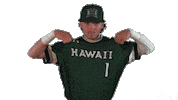 College Baseball Sticker by Hawaii Athletics