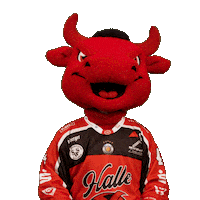 Sport Hockey Sticker by Saale Bulls
