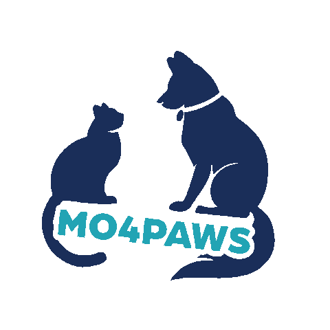 mo4paws giphyupload cat dog cats Sticker