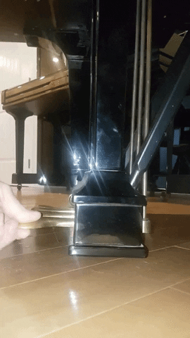 glenbarkman giphygifmaker GIF