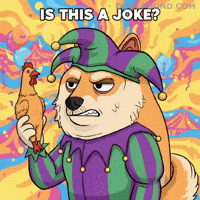 Is This A Joke No GIF by Doge Pound