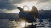 When Nature Calls Bird GIF by ABC Network