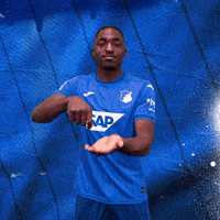 Sport Bundesliga GIF by TSG Hoffenheim