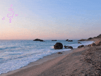 Business Datac Ag GIF by FranchiseONE.de