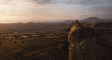 the lion king GIF by Walt Disney Studios