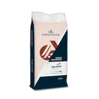 Sorgo Sorghum Sticker by Advanta Semillas Argentina