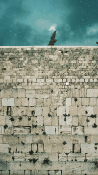 Yom Kippur Forgiveness GIF