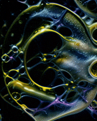 Bg Network GIF by Aleksey Efremov