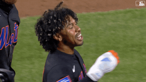 Home Run Hug GIF by New York Mets