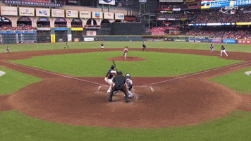 Sport Baseball GIF by MLB