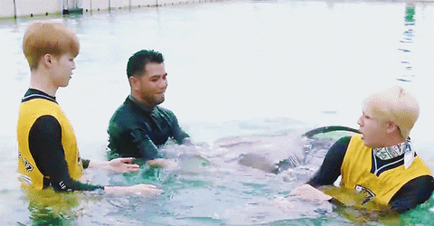 ddalggi giphyupload GIF