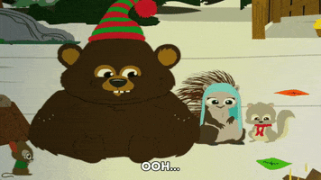 bear GIF by South Park 