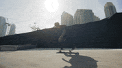 skateboarding we are blood GIF by EchoBoom Sports