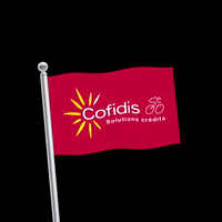 TeamCofidis sport flag fan fans GIF
