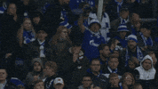 Football Soccer GIF by FC Schalke 04