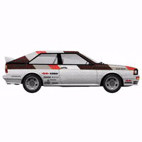 Ford Toyota GIF by FIA World Rally Championship