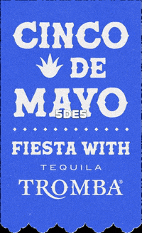 GIF by Tequila Tromba