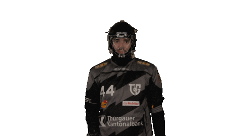 scont_gmbh giphyupload sport floorball schweiz Sticker