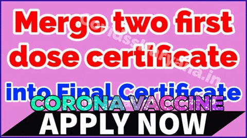 covidss giphygifmaker covid corona covid19 GIF