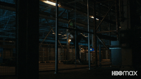 Crime Fighters Fight GIF by HBO Max