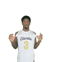 Mens Basketball Sticker by Clarke University