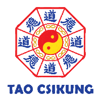Csikung Sticker by True Basketball Training