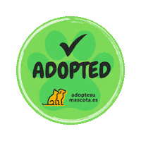 adoptesumascota cat dog gato perro Sticker