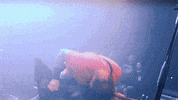 Bass Guitar Headbang GIF by Killswitch Engage