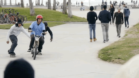 viceland GIF by Dead Set on Life