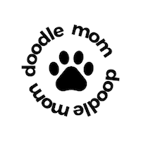 Doodle Goldendoodle Sticker by 605 Real EState