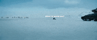Fast And Furious GIF by The Fast Saga