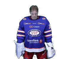 Keeper Mathias Sticker by VIF Hockey
