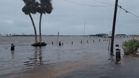 Floodwaters Fill Streets in Port Orange as Nicole Approaches Florida