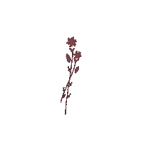 Flower Sticker